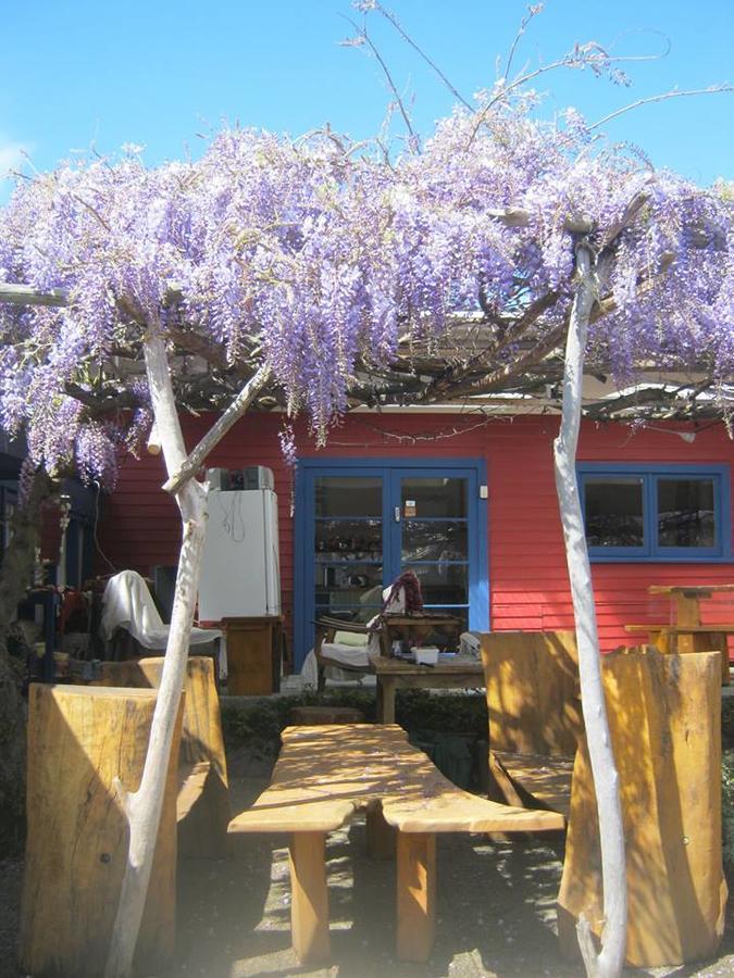 Annies Nirvana Lodge Backpackers 塔卡卡 外观 照片