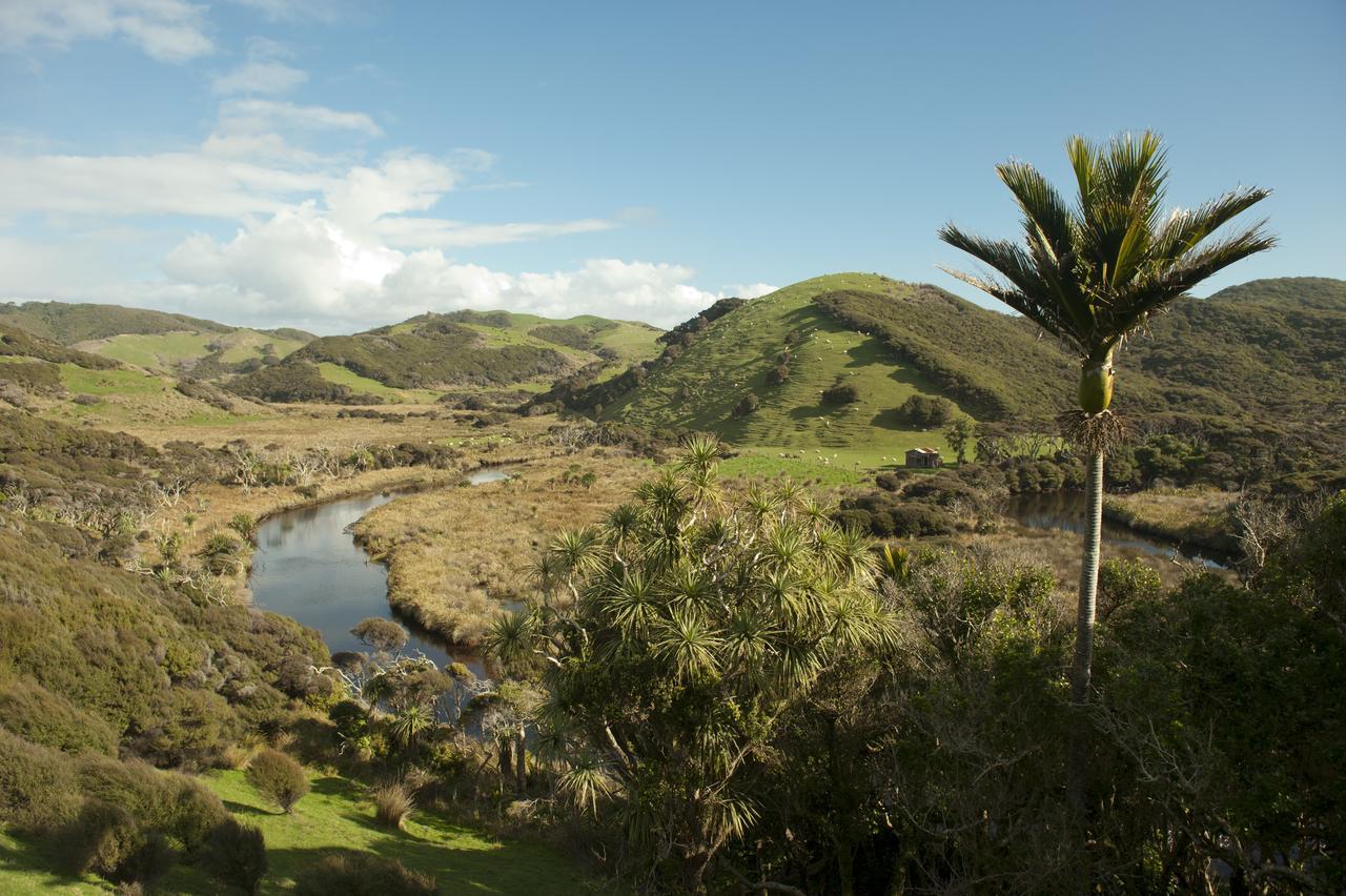 Annies Nirvana Lodge Backpackers 塔卡卡 外观 照片
